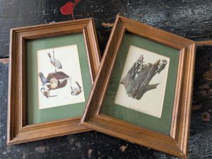 2 Woodpecker prints by Ray Harm