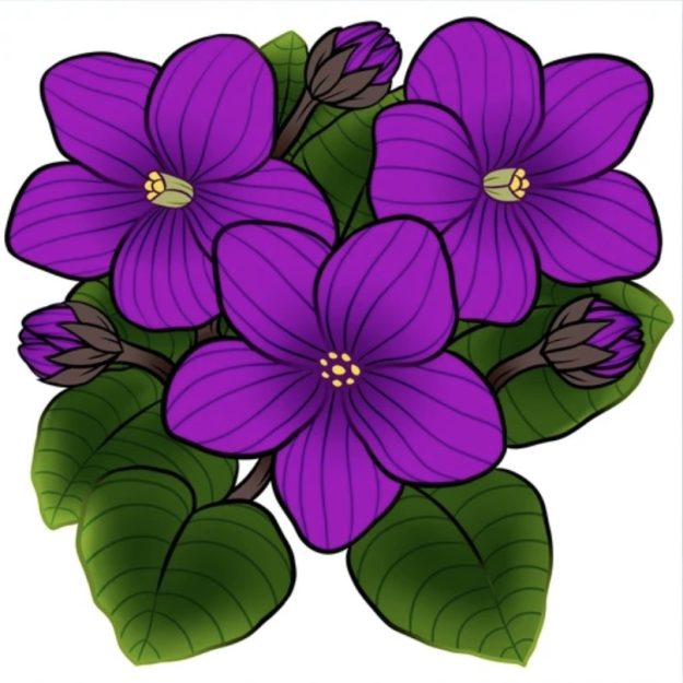 Viola's Vintage
